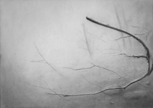 foggy landscape with dead branches of trees