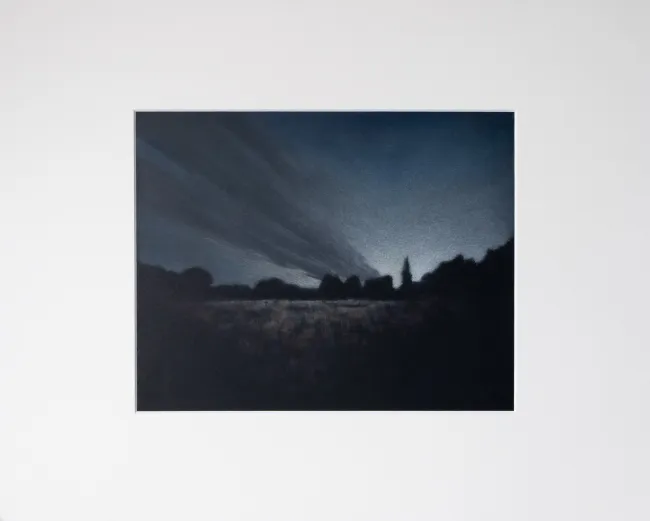 after sunset some light and a long cloud behind a line of trees, some reflections on a meadow in the front